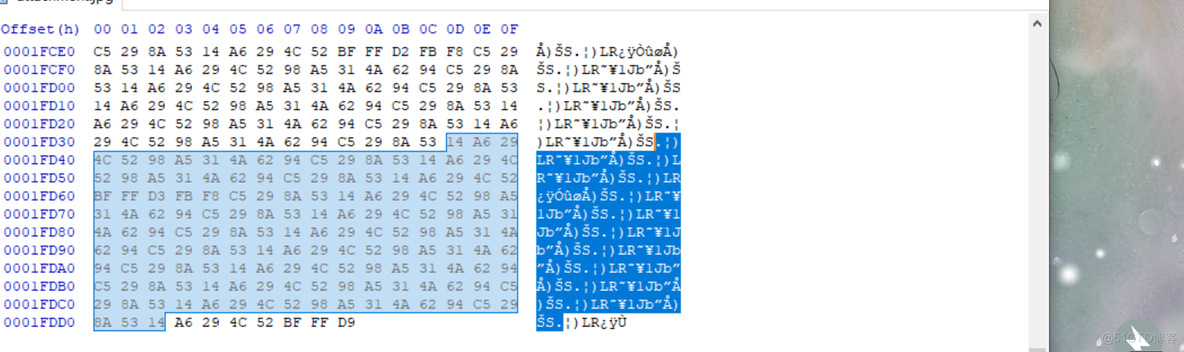 CTF misc 第十一天_打开文件_10