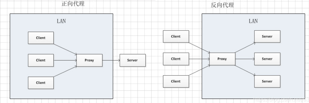 nginx正反向代理_服务器