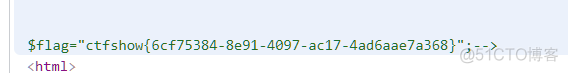 ctf_show-web入门-命令执行(42-53)_百度_04