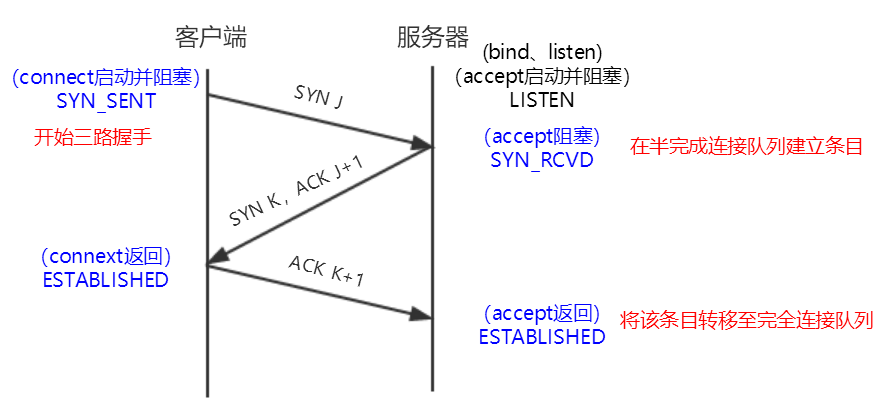 4. 基本socket函数_sed