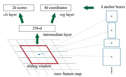 【CV论文阅读】Faster R-CNN: Towards Real-Time Object Detection with Region Proposal Networks_卷积