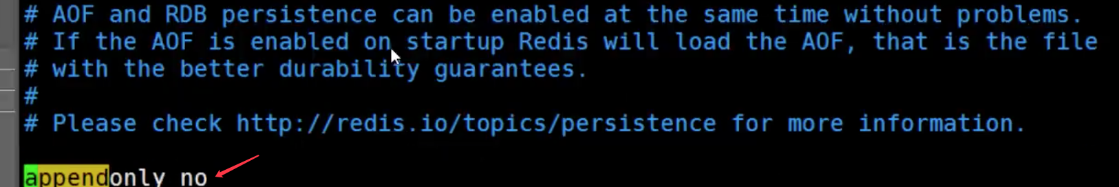 Redis - Redis持久化（RDB+AOF）_解决方案_11