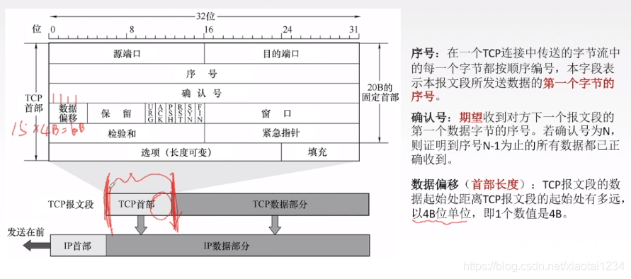 TCP协议特点和TCP报文段_首部_03