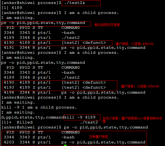 [Linux]   孤儿进程与僵尸进程[总结]_父进程_09
