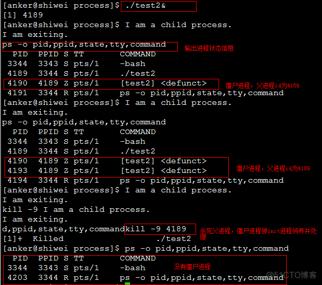 [Linux]   孤儿进程与僵尸进程[总结]_子进程_09