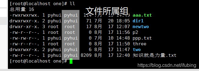 linux-目录查询命令-目录内容查看-ls查询-tree查询-查询类容分类-不同颜色对应不同类型_文件创建_09