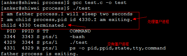[Linux]   孤儿进程与僵尸进程[总结]_子进程_12