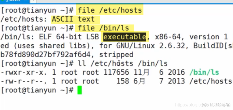 linux-文件类型与查看文件型_文件类型_08