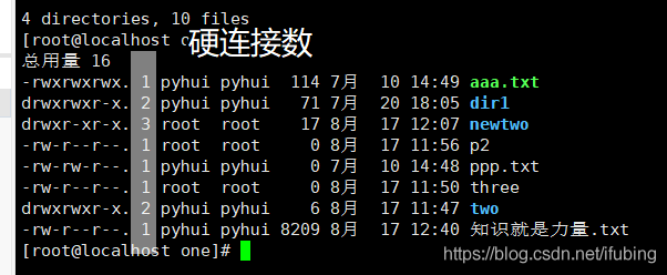 linux-目录查询命令-目录内容查看-ls查询-tree查询-查询类容分类-不同颜色对应不同类型_压缩包_07