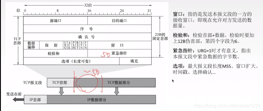 TCP协议特点和TCP报文段_计算机网络_05