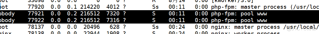 搭建LNMP_配置文件_20