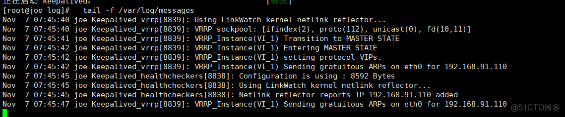 nginx+keepalived简单双机主从热备_优先级_03