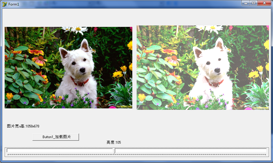 Delphi图像处理之图像亮度处理_开发环境