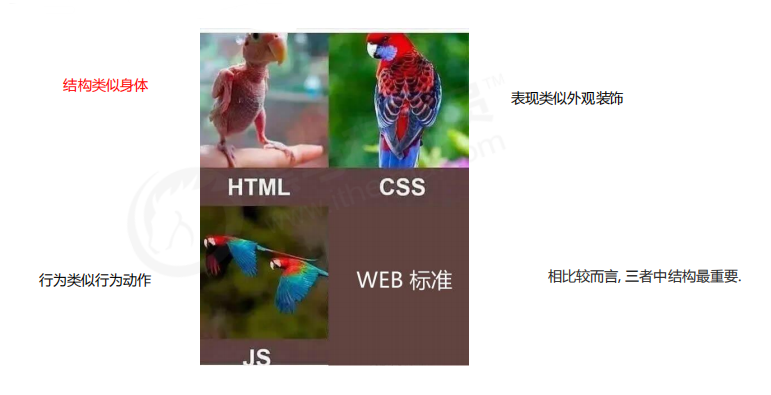 HTML 简介_html_04