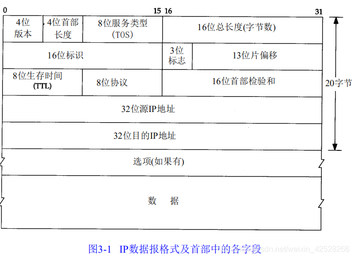 速读原著-TCP/IP(IP首部)_网络