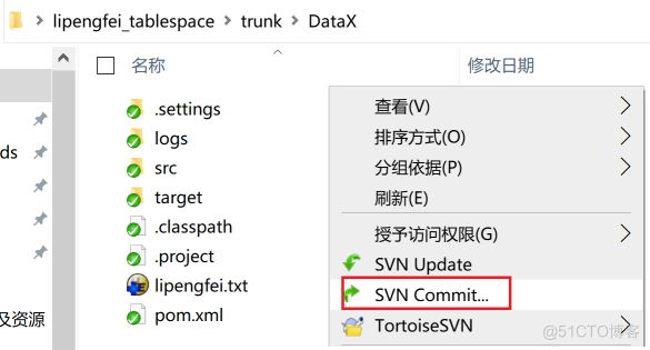 一步一步搭建Svn服务之TortoiseSVN日常操作_java_95