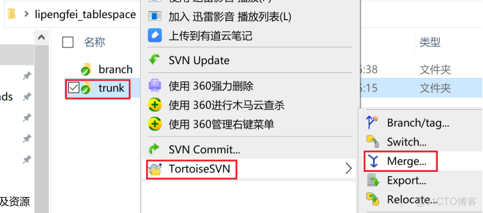 一步一步搭建Svn服务之TortoiseSVN日常操作_java_87