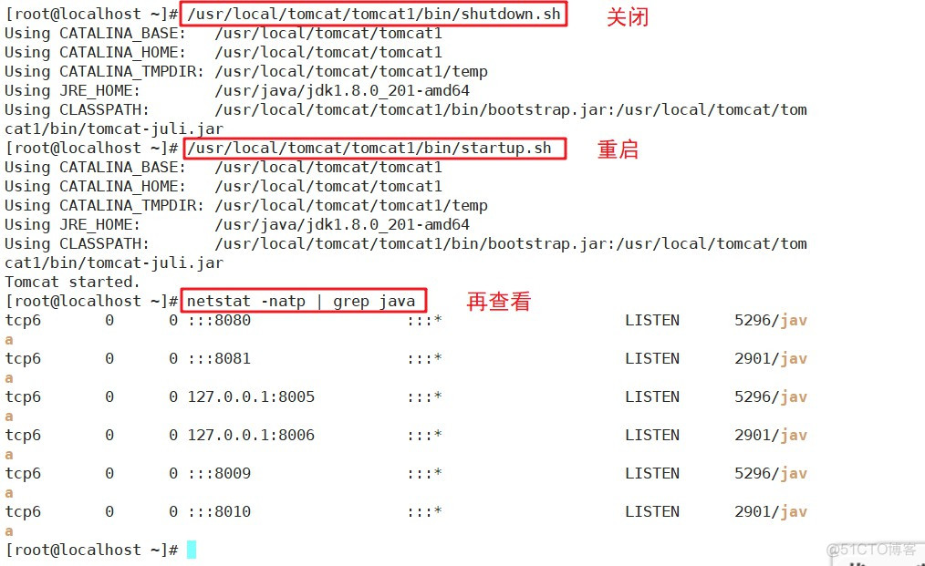 配置Nginx+Tomcat负载均衡、动静分离集群_java_33