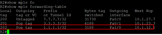 MPLS +BGP+OSPF+路由反射器_MPLS_18