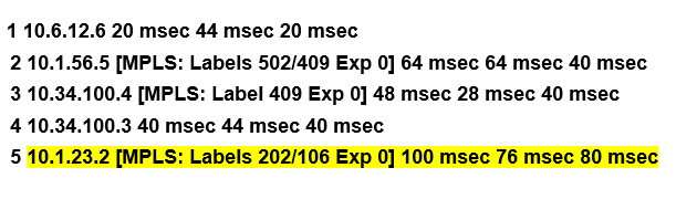 MPLS +BGP+OSPF+路由反射器_MPLS_17