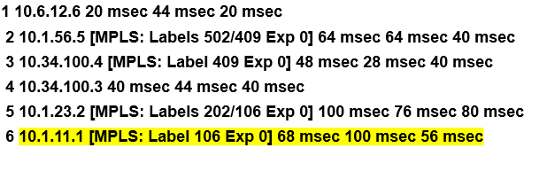 MPLS +BGP+OSPF+路由反射器_MPLS_19