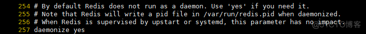 【Redis】3.配置文件_生产环境_10