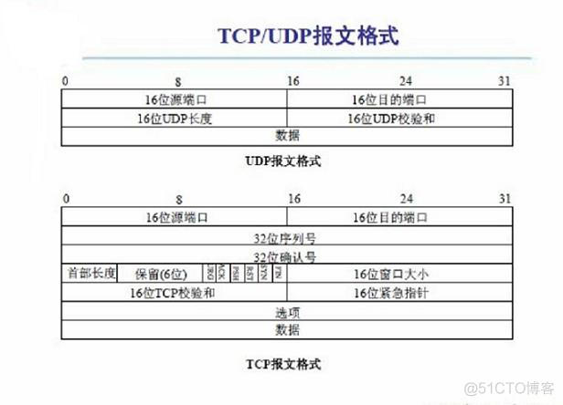 TCP/UDP报文格式_端口号