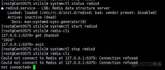 CentOS7 安装redis 并且设置成服务自动启动_redis_03