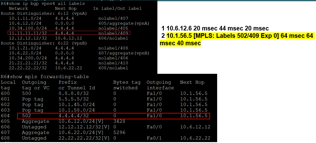 MPLS +BGP+OSPF+路由反射器_MPLS_10