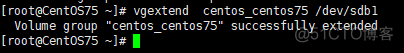 CentOS下面磁盘扩容处理_centos_08