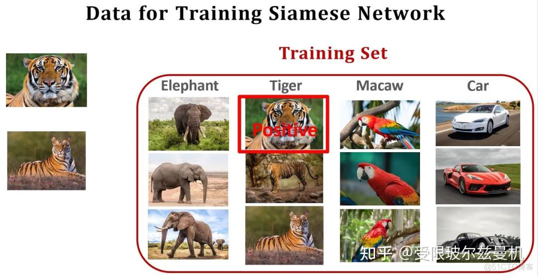 Few-shot Learning 小白入门笔记_神经网络_15