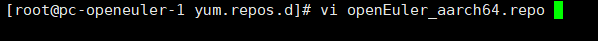 openEuler虚拟机配置yum源_yum源_03