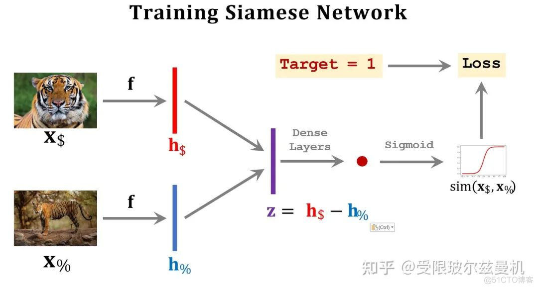 Few-shot Learning 小白入门笔记_网络_12