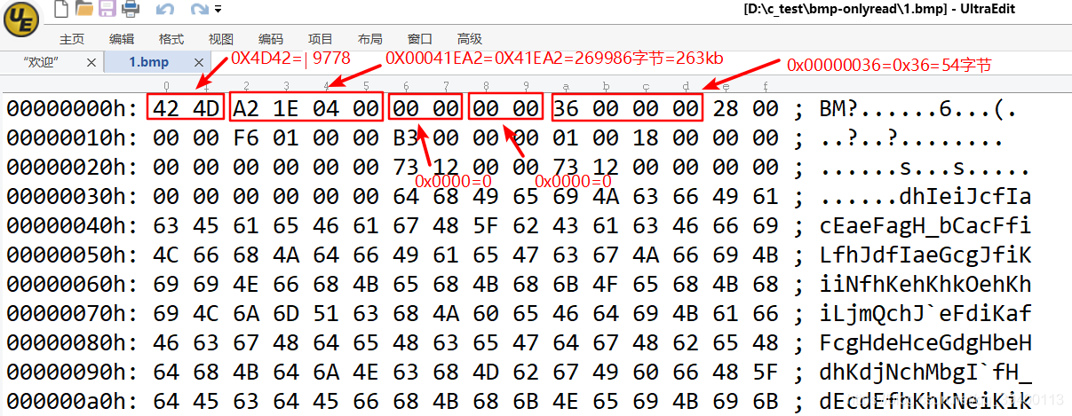 利用C语言读取BMP文件_文件大小_04