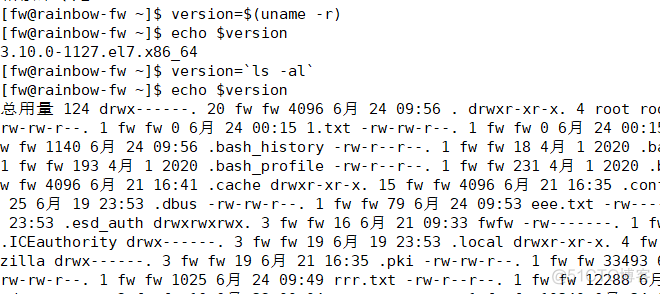 linux 的bash变量_特殊字符_03