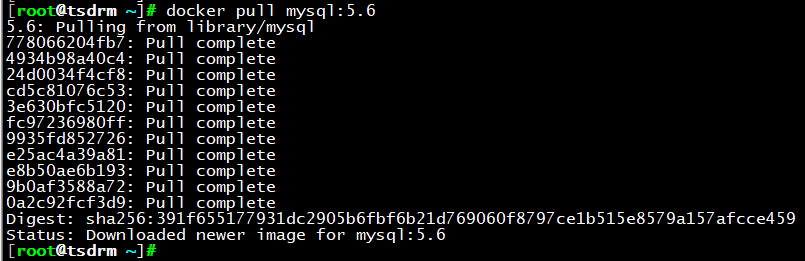 Docker - 项目部署_mysql_10