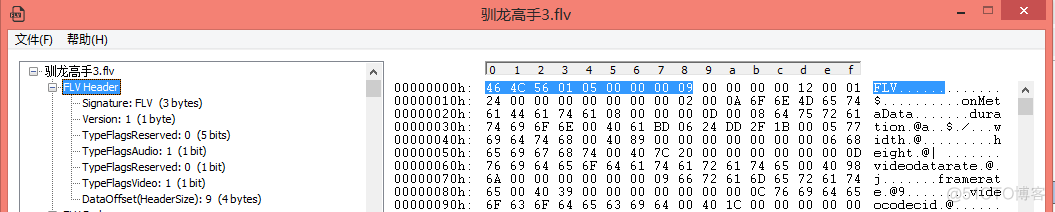 多媒体文件格式（二）：FLV 格式_ide_02