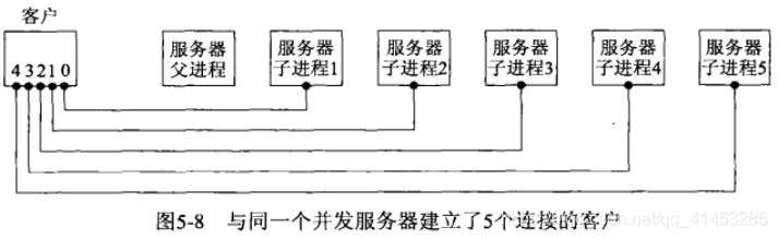 UNP编程：10---TCP之（子进程终止处理：wait、waitpid）_wait