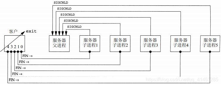 UNP编程：10---TCP之（子进程终止处理：wait、waitpid）_子进程终止处理_02