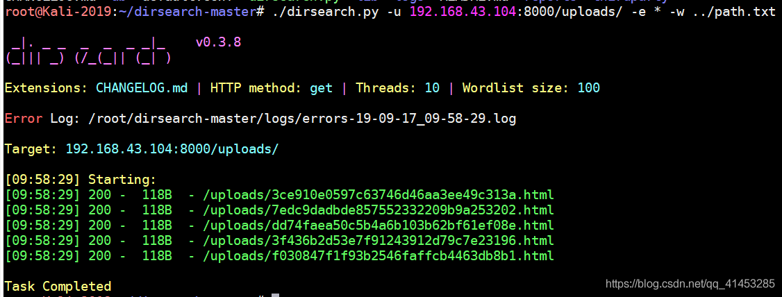 Kali Dirsearch目录爆破工具_Dirsearch目录爆破工具_05