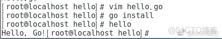 Centos搭建go环境以及go入门_github_02