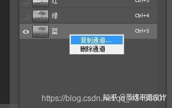 Photoshop之通道抠图，适用于扣人像，树叶等细微抠图_细微抠图_06