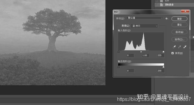 Photoshop之通道抠图，适用于扣人像，树叶等细微抠图_Photoshop_09