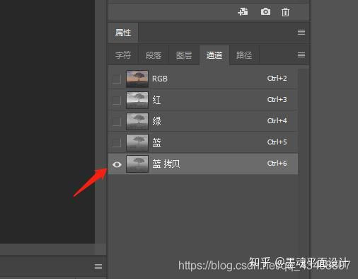 Photoshop之通道抠图，适用于扣人像，树叶等细微抠图_Photoshop_07