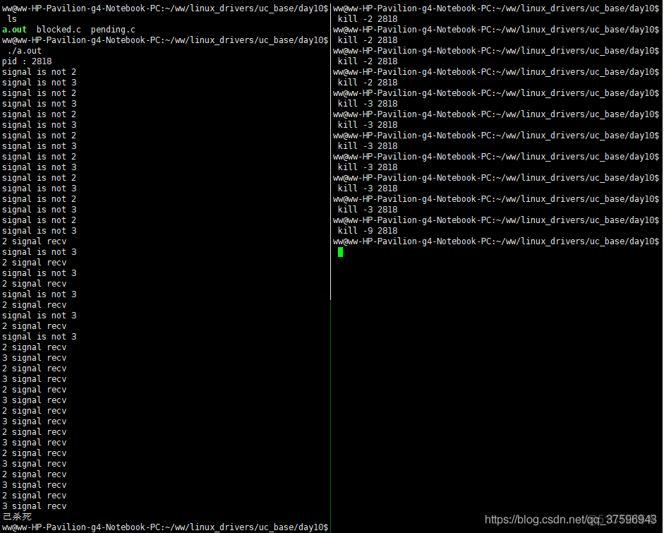linux基础——信号阻塞及未决信号_信号处理_02