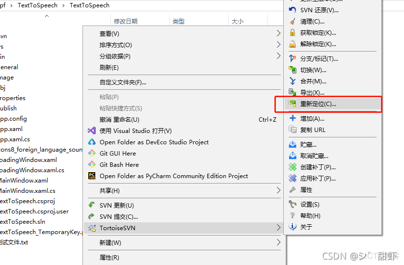 Visual Studio 2019使用SVN管理源代码_svn服务器_16