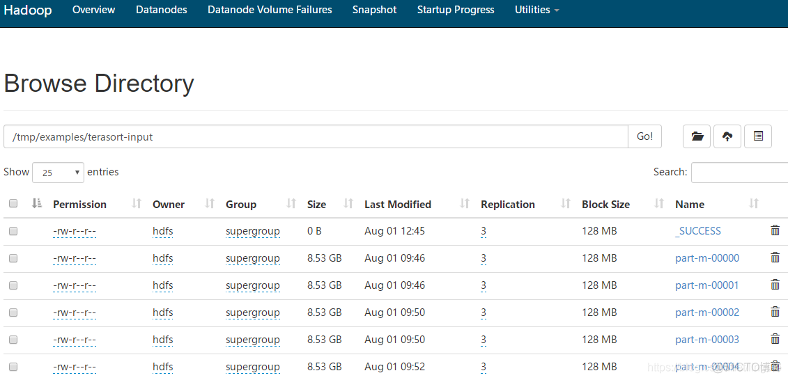 CDH6.0.1环境Hadoop集群性能测试_jar_13