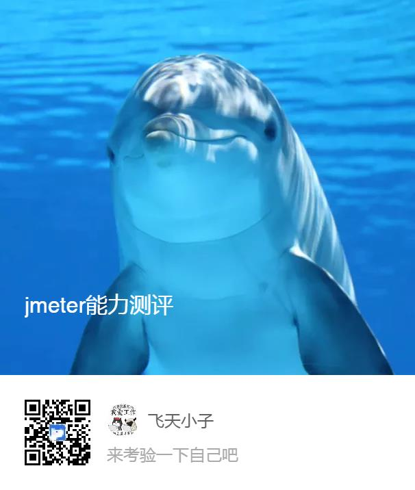 Jmeter使用能力评测_其他