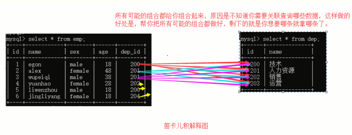 数据库 ---  4  多表查询  ，Navicat工具 ，  pymysql模块_数据