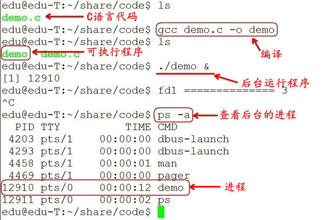 【Linux系统编程】进程介绍_进程